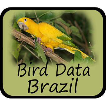 鸟类数据-巴西Bird Data - Brazil