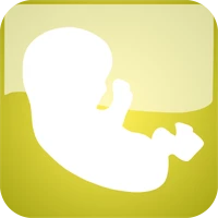 宝宝模拟器