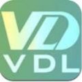 VDL视频链