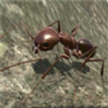 蚂蚁世界模拟器下载