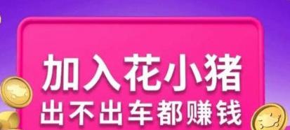 1594108945468988.png 花小猪怎么注册司机