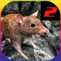 母鼠模拟器2游戏