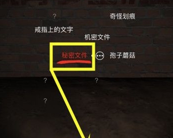 孙美琪疑案DLC张红君之死线索关联方法介绍