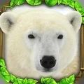 终极北极熊模拟器下载