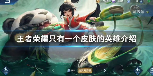 王者荣耀只有一个皮肤的英雄有哪些