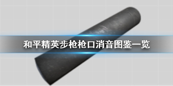 《和平精英》步枪枪口消音图鉴一览
