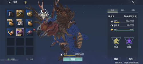妄想山海什么宠物伤害高