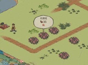 《江南百景图》探险材料在哪