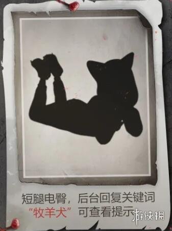 《和平精英》神秘图鉴皮肤是什么