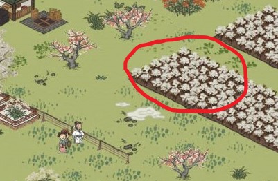 江南百景图天然棉怎么得到