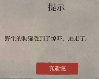 《江南百景图》小动物不见了怎么办