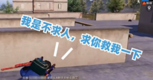 1609120694181216.png 《和平精英》不求人语音包怎么获得