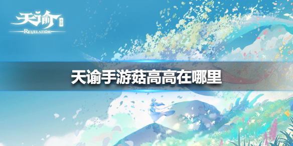 天谕手游菇高高在哪里
