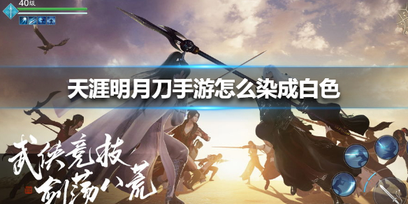 天涯明月刀手游怎么染成白色