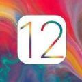 iOS12.5.1描述文件