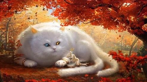 妄想山海朏朏资质怎么样