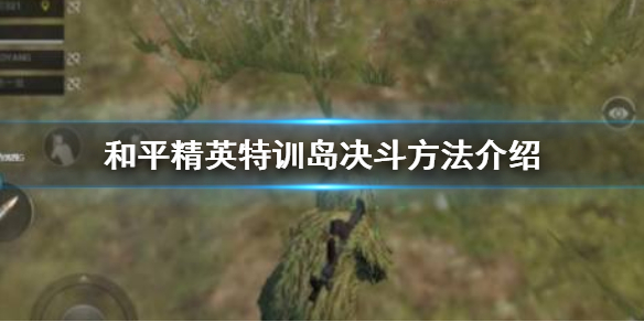 王者荣耀刘禅挖掘机皮肤怎么时候上架