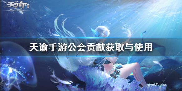 天谕手游公会贡献怎么刷