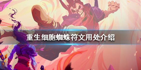 重生细胞蜘蛛符文有什么用