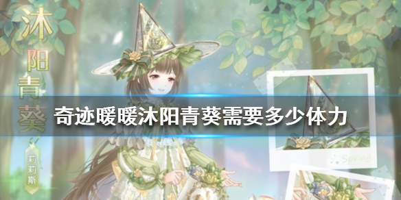 奇迹暖暖沐阳青葵需要多少体力