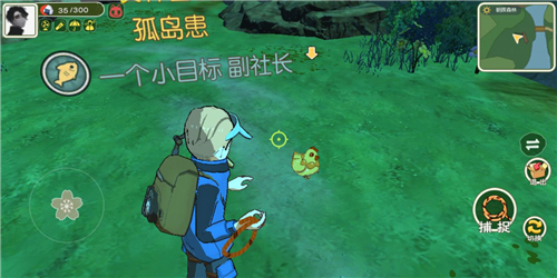 小森生活金色羽毛有什么用