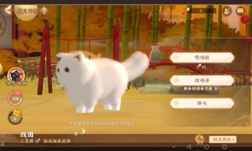 忘川风华录猫灵外观码
