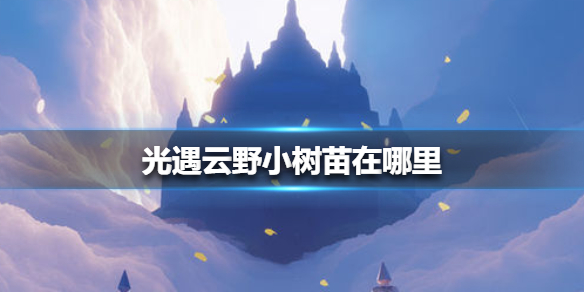 光遇云野小树苗在哪里