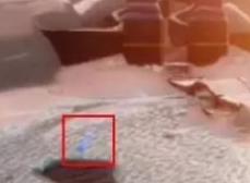 1616911343675725.png 《光遇》3.28任务攻略