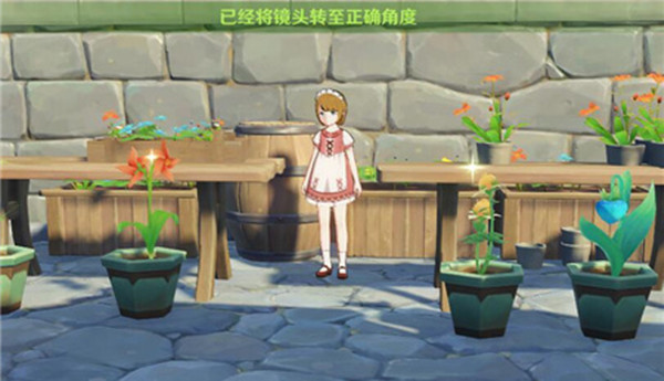 原神给芙罗拉留影任务完成攻略