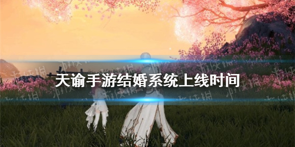 《天谕手游》结婚什么时候上线