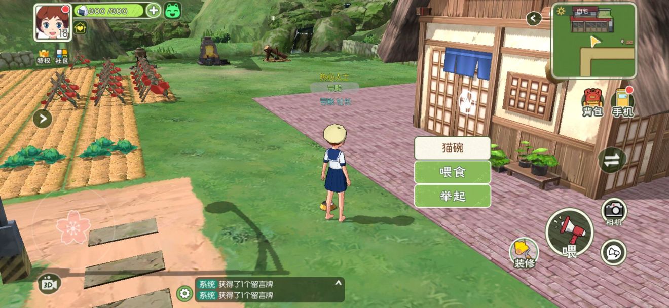 小森生活猫咪领养及培养技巧攻略