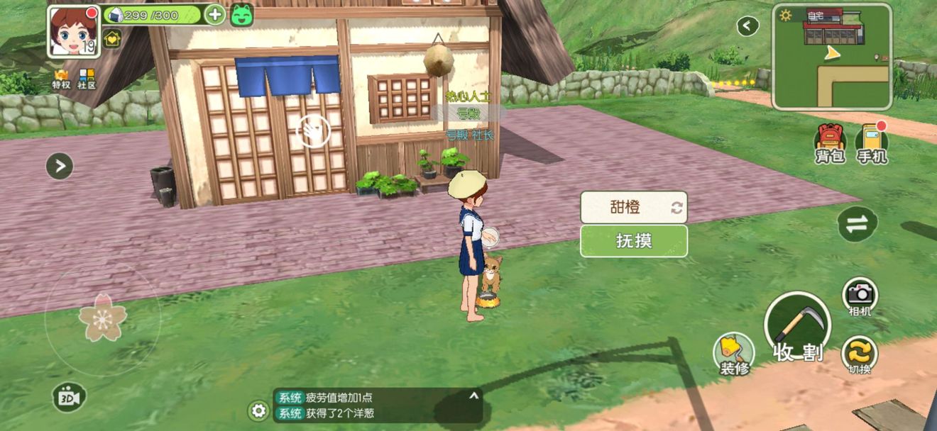 小森生活猫咪领养及培养技巧攻略