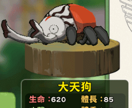 小森生活神奇甲虫大赛任务玩法攻略