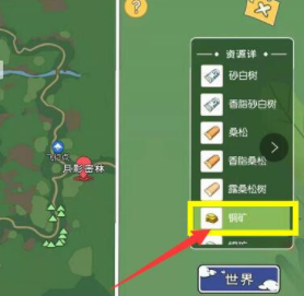 小森生活铜矿位置坐标大全