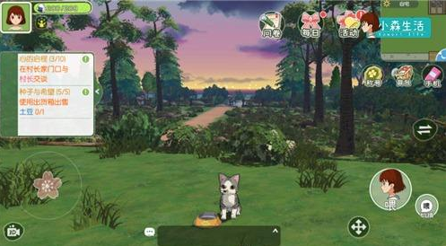 小森生活猫咪领养方法