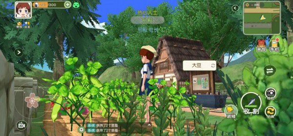 小森生活开垦土地种地技巧攻略