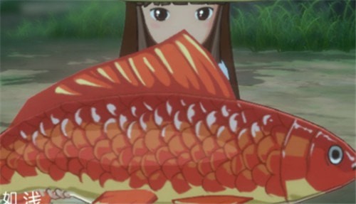 小森生活鲤鱼王饲料及位置汇总