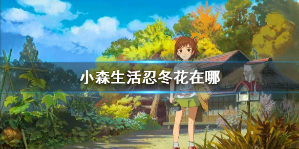 小森生活忍冬花具体位置坐标一览