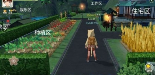 小森生活新手家园设计技巧攻略