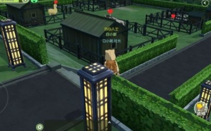 小森生活新手家园设计技巧攻略