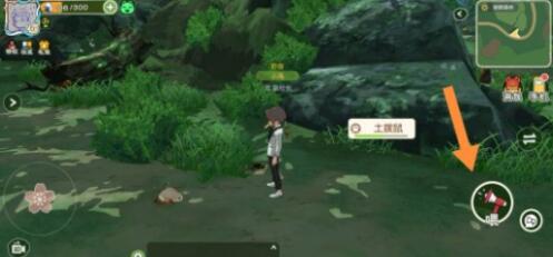 小森生活土拨鼠捕捉技巧攻略一览