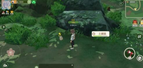 小森生活土拨鼠捕捉技巧攻略一览