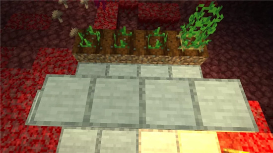 我的世界下界怎么种植