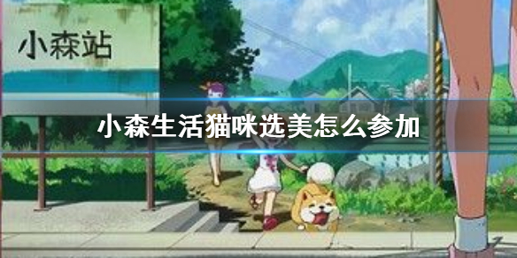 小森生活猫咪选美攻略汇总