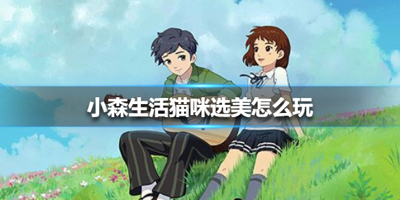 小森生活猫咪选美怎么玩