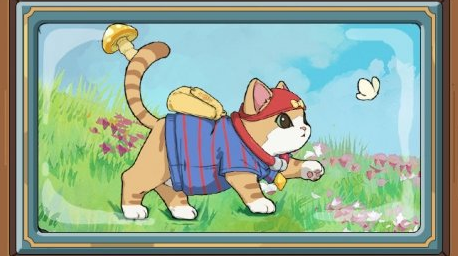《小森生活》猫咪选美怎么玩