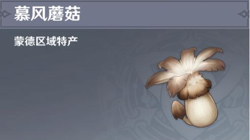 原神慕风蘑菇哪个地方采集的多