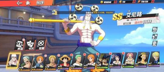 航海王热血航线新手阵容怎么搭配好