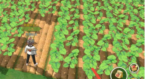 小森生活棉花怎么得