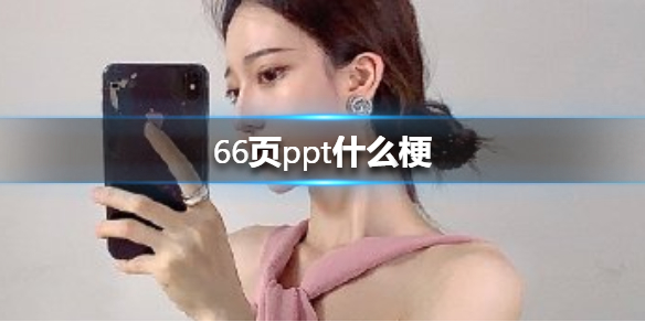 66页ppt什么梗